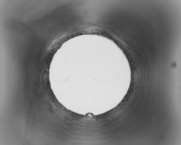 X0000112501447200909281146