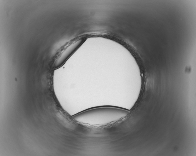 X0000112501448200909281146