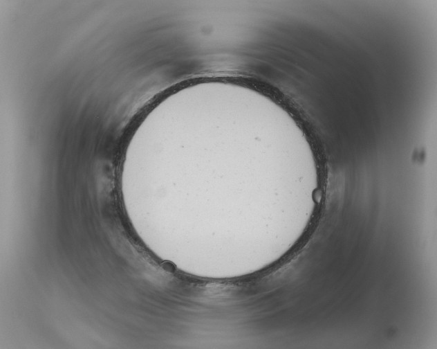 X0000112501449200909281146