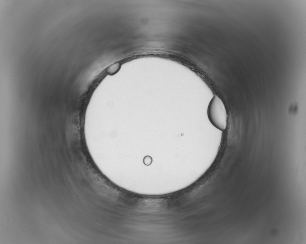 X0000112501453200909281146