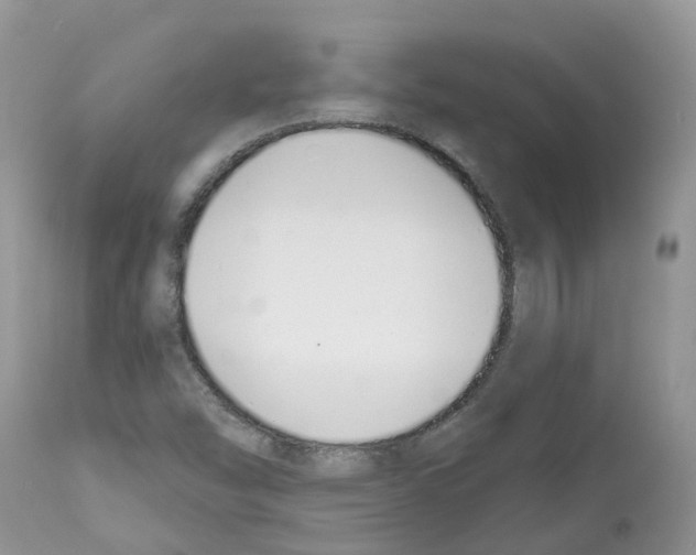 X0000112501454200909281146