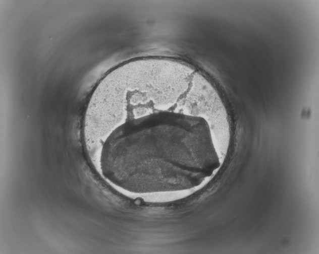 X0000112501455200909281146