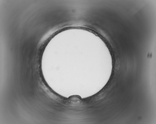 X0000112501456200909281146