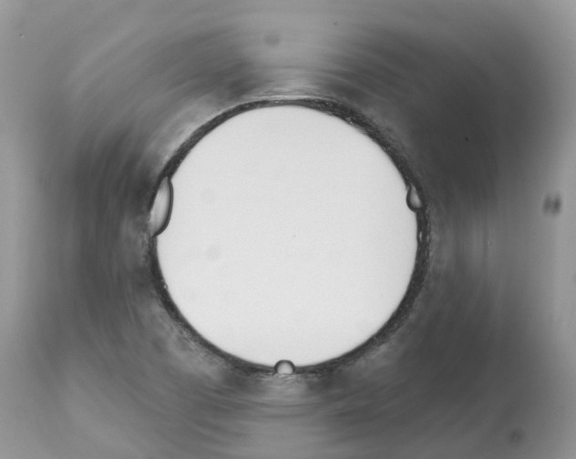 X0000112501457200909281146