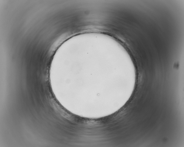 X0000112501459200909281146