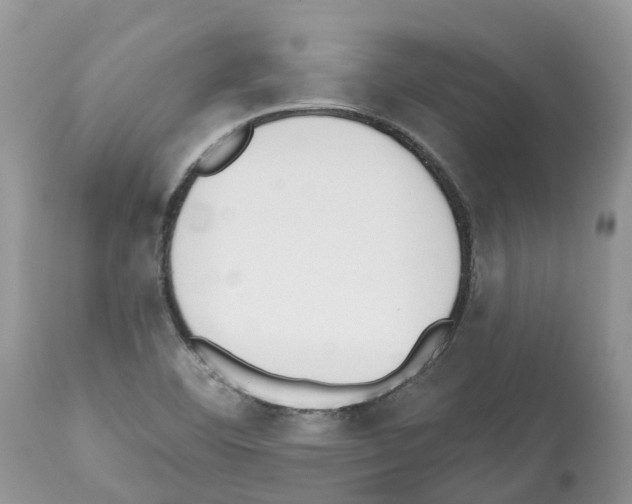 X0000112501460200909281146