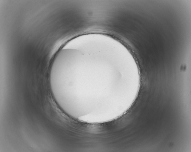 X0000112501461200909281146