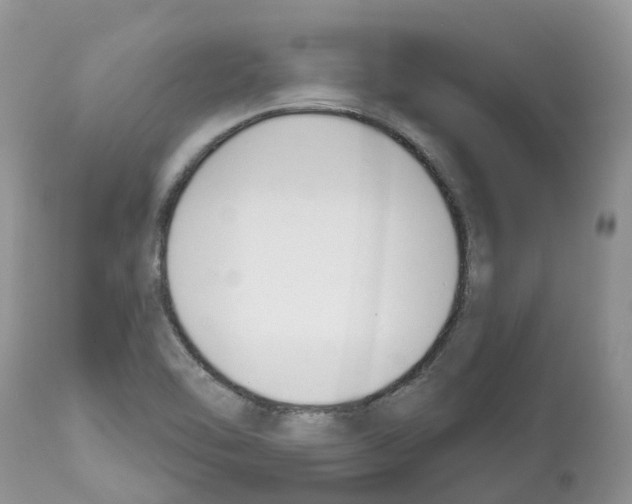 X0000112501462200909281146