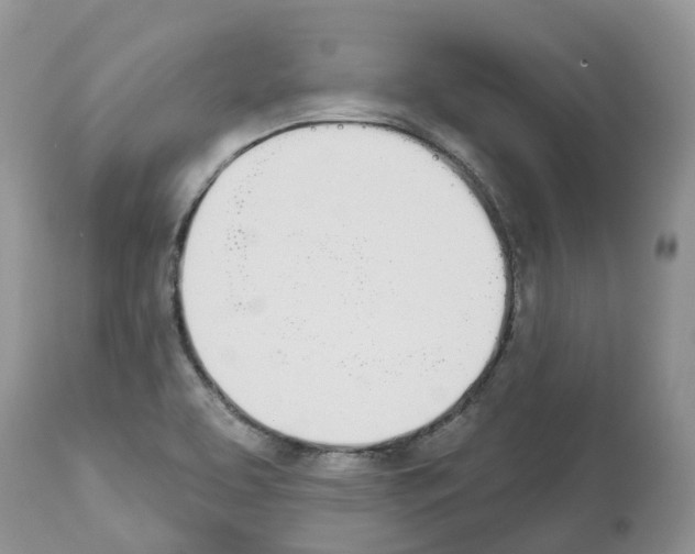 X0000112501463200909281146