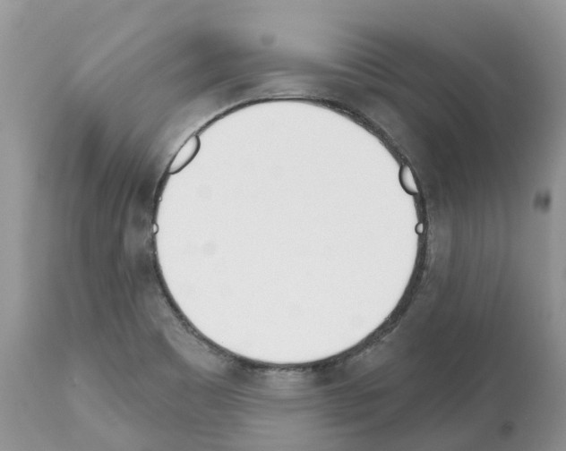 X0000112501465200909281146