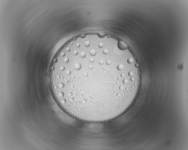 X0000112501466200909281146