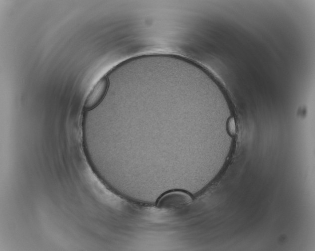 X0000112501468200909281146