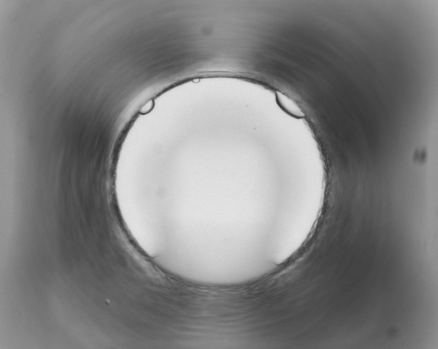 X0000112501469200909281146