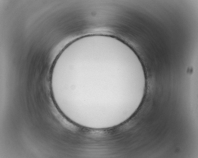 X0000112501470200909281145