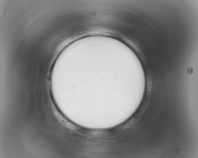 X0000112501471200909281145