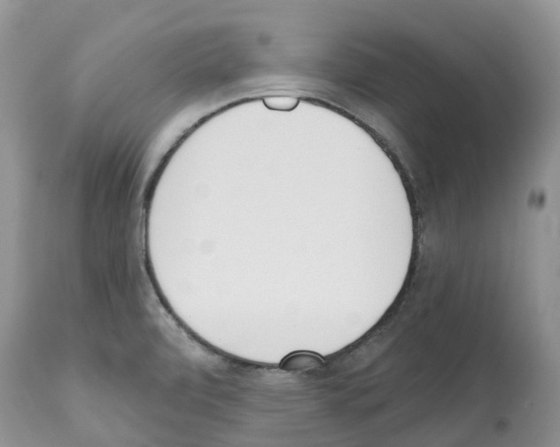 X0000112501472200909281145