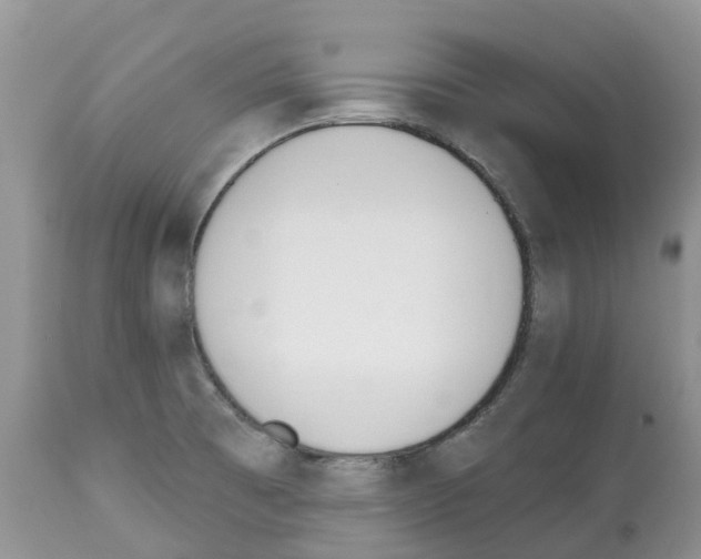 X0000112501473200909281145