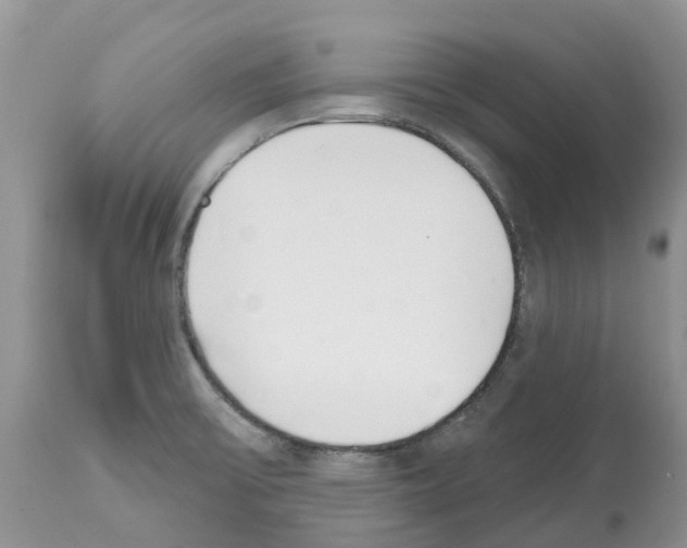 X0000112501475200909281145