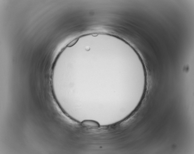 X0000112501477200909281145