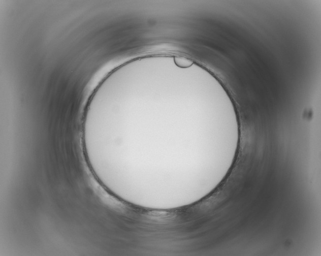 X0000112501478200909281145