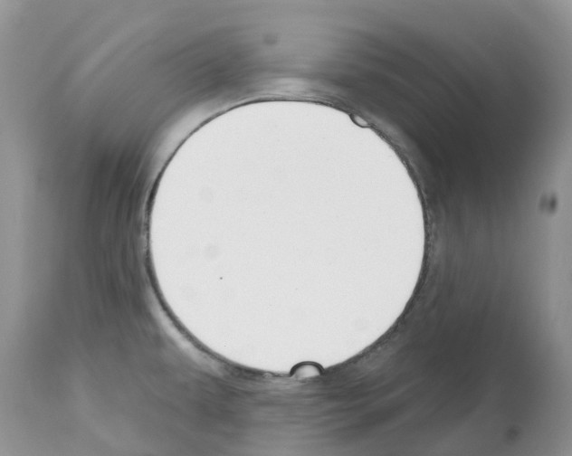 X0000112501479200909281145