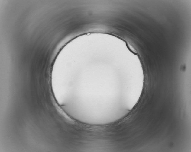 X0000112501480200909281145