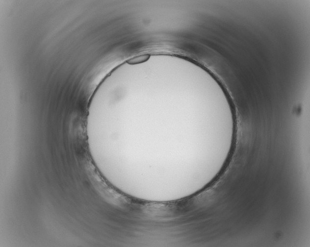 X0000112501481200909281145