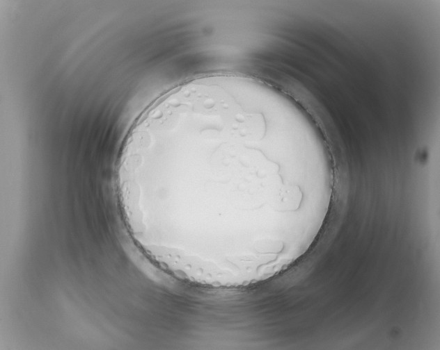 X0000112501482200909281145