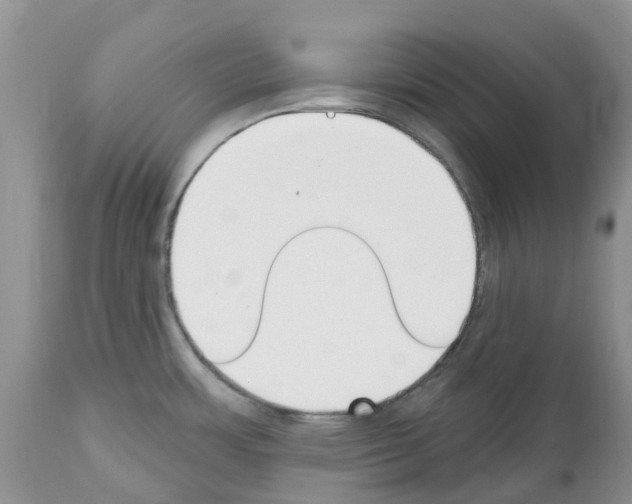 X0000112501483200909281145