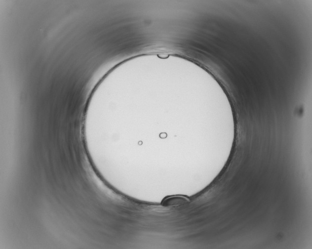 X0000112501484200909281145