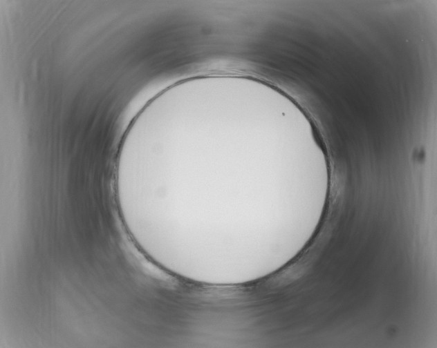 X0000112501486200909281145