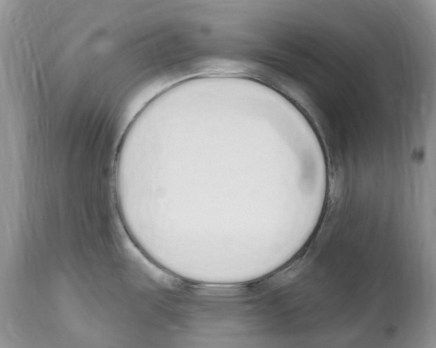 X0000112501487200909281145