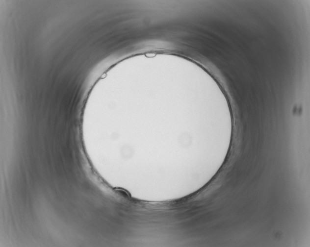 X0000112501488200909281145