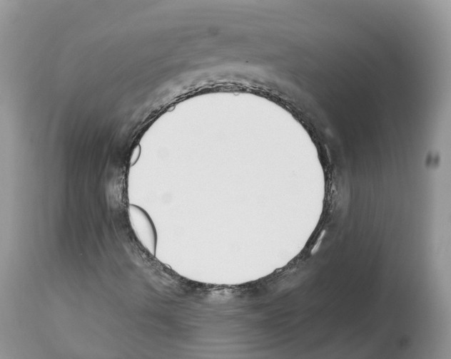 X0000112501490200909281144