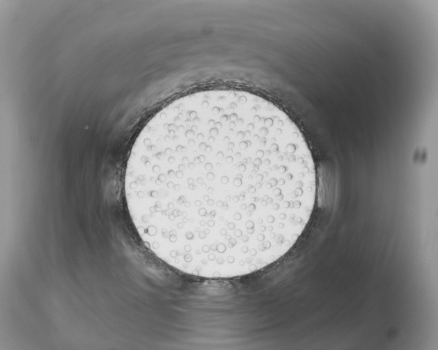 X0000112501491200909281144