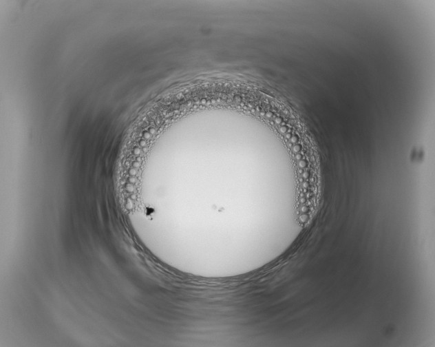 X0000112501492200909281145