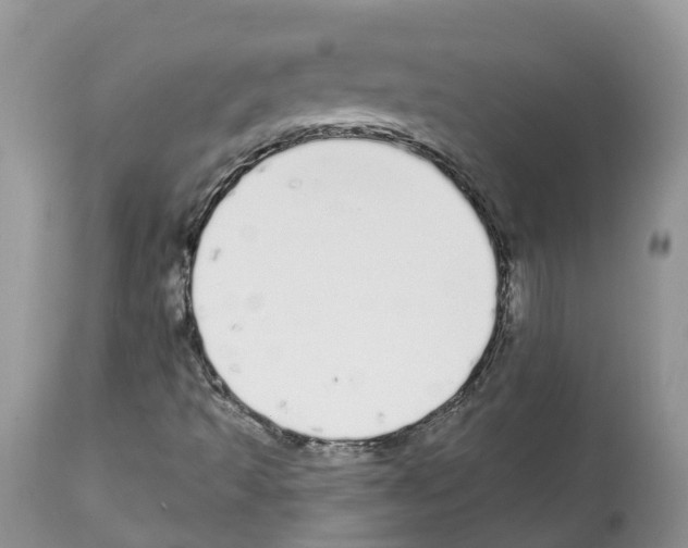 X0000112501493200909281145