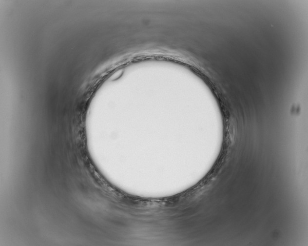 X0000112501494200909281145