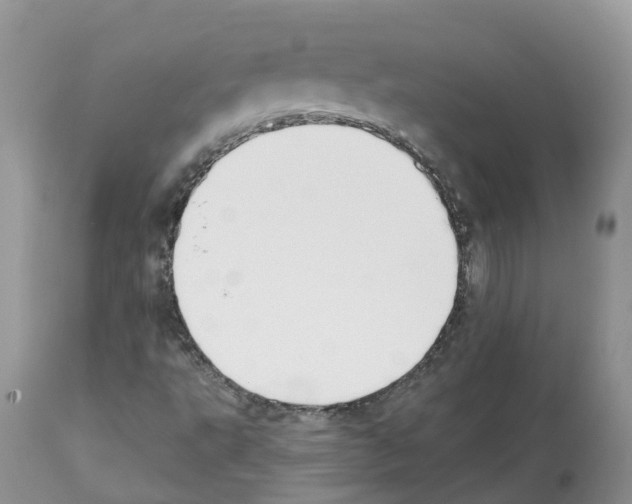 X0000112501495200909281145