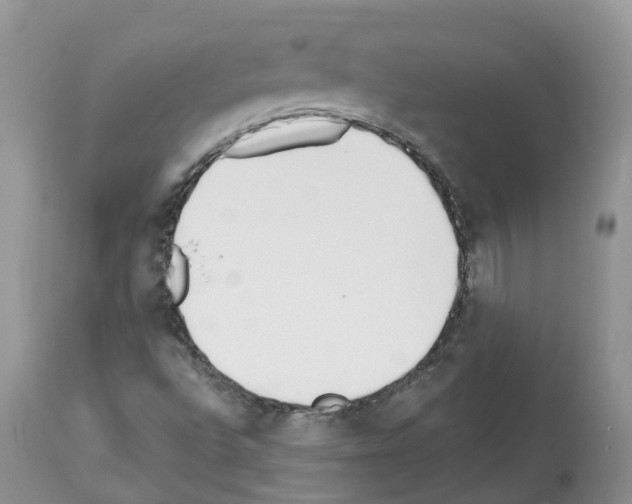 X0000112501496200909281145