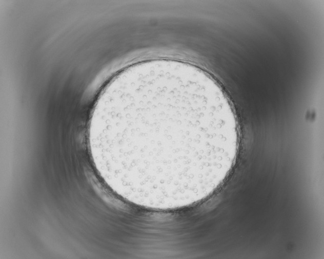 X0000112501499200909281145