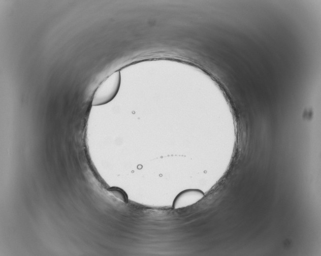 X0000112501500200909281145