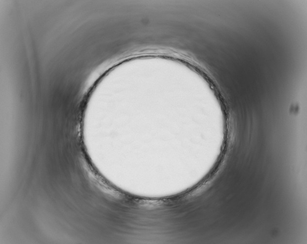 X0000112501501200909281145