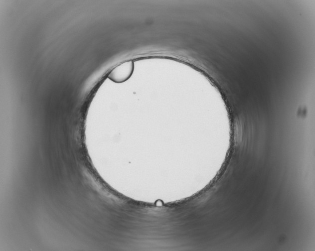 X0000112501502200909281145