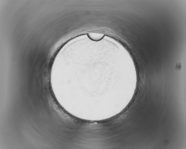 X0000112501506200909281145