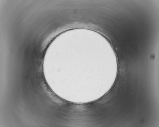 X0000112501507200909281145