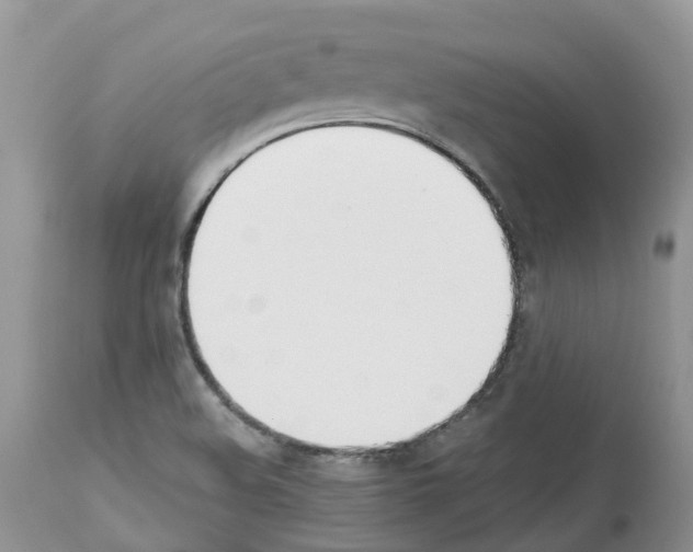 X0000112501508200909281145