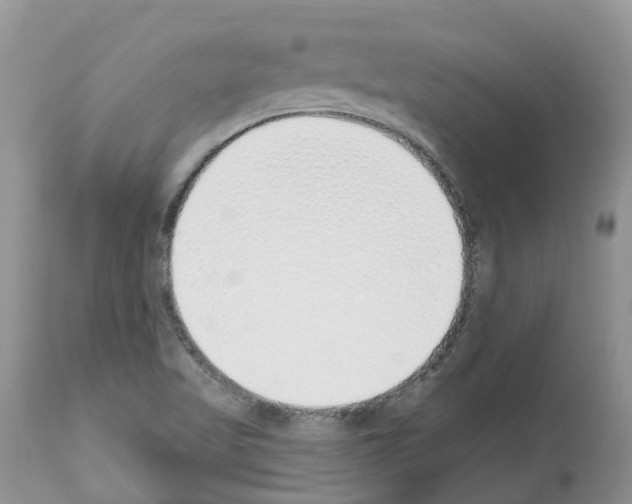 X0000112501509200909281145