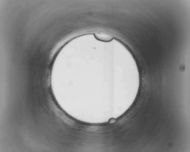 X0000112501510200909281145