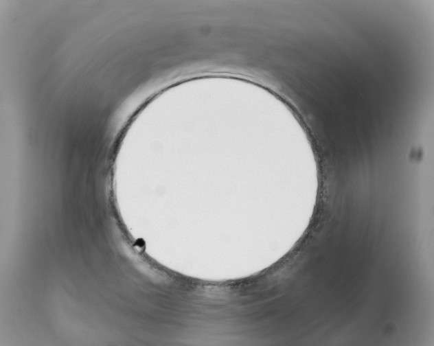 X0000112501511200909281145